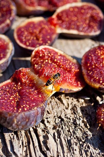 خرید انجیر خشک قرمز + فروش صادراتی